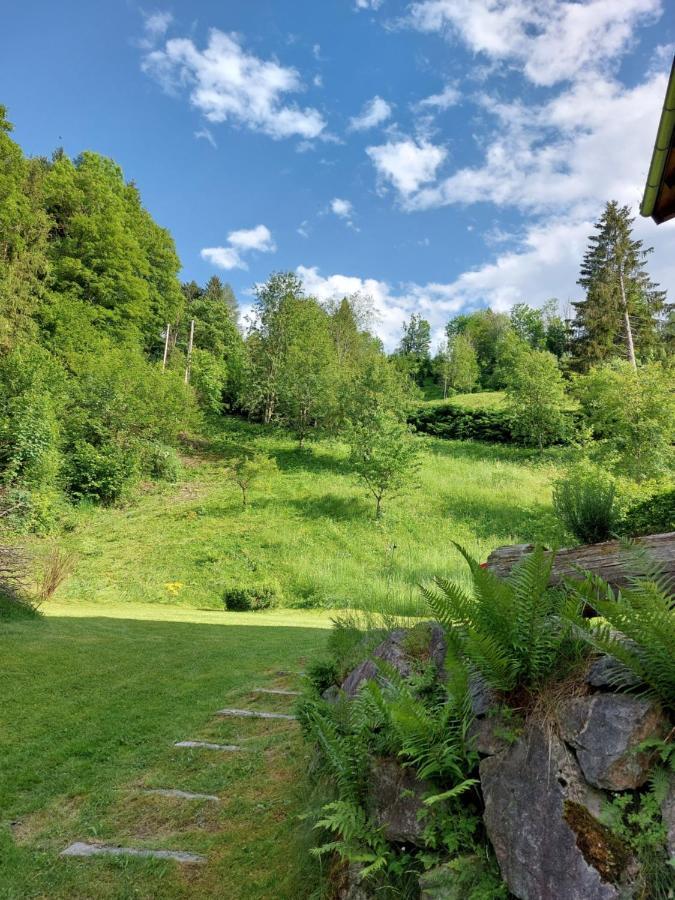 Chalet Peter Zell am See Eksteriør billede