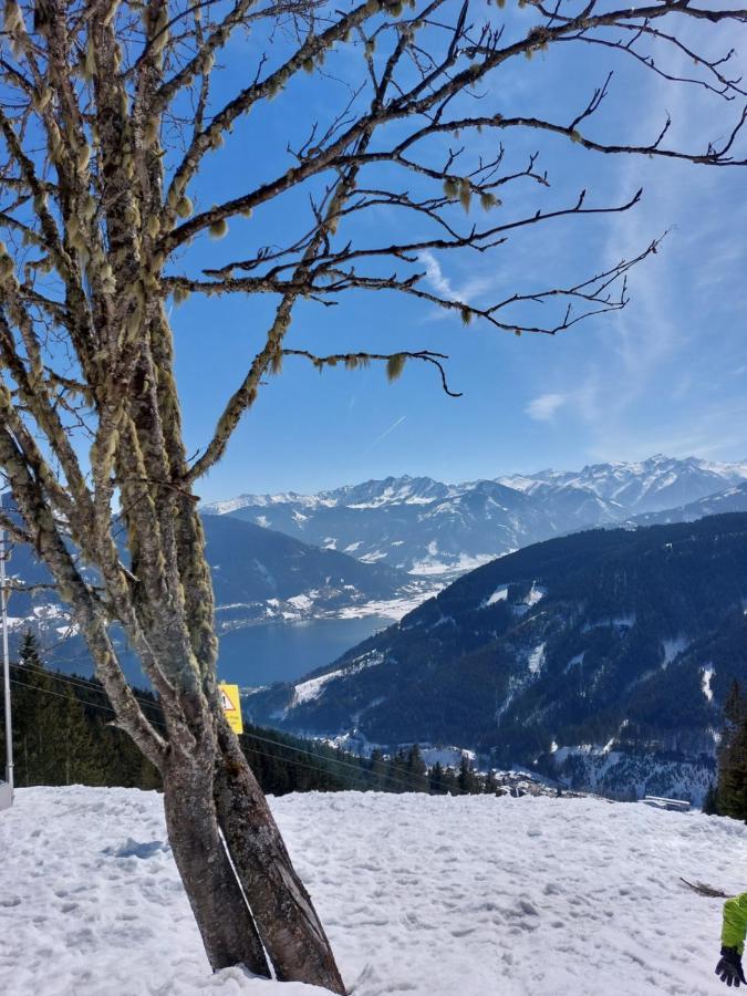 Chalet Peter Zell am See Eksteriør billede